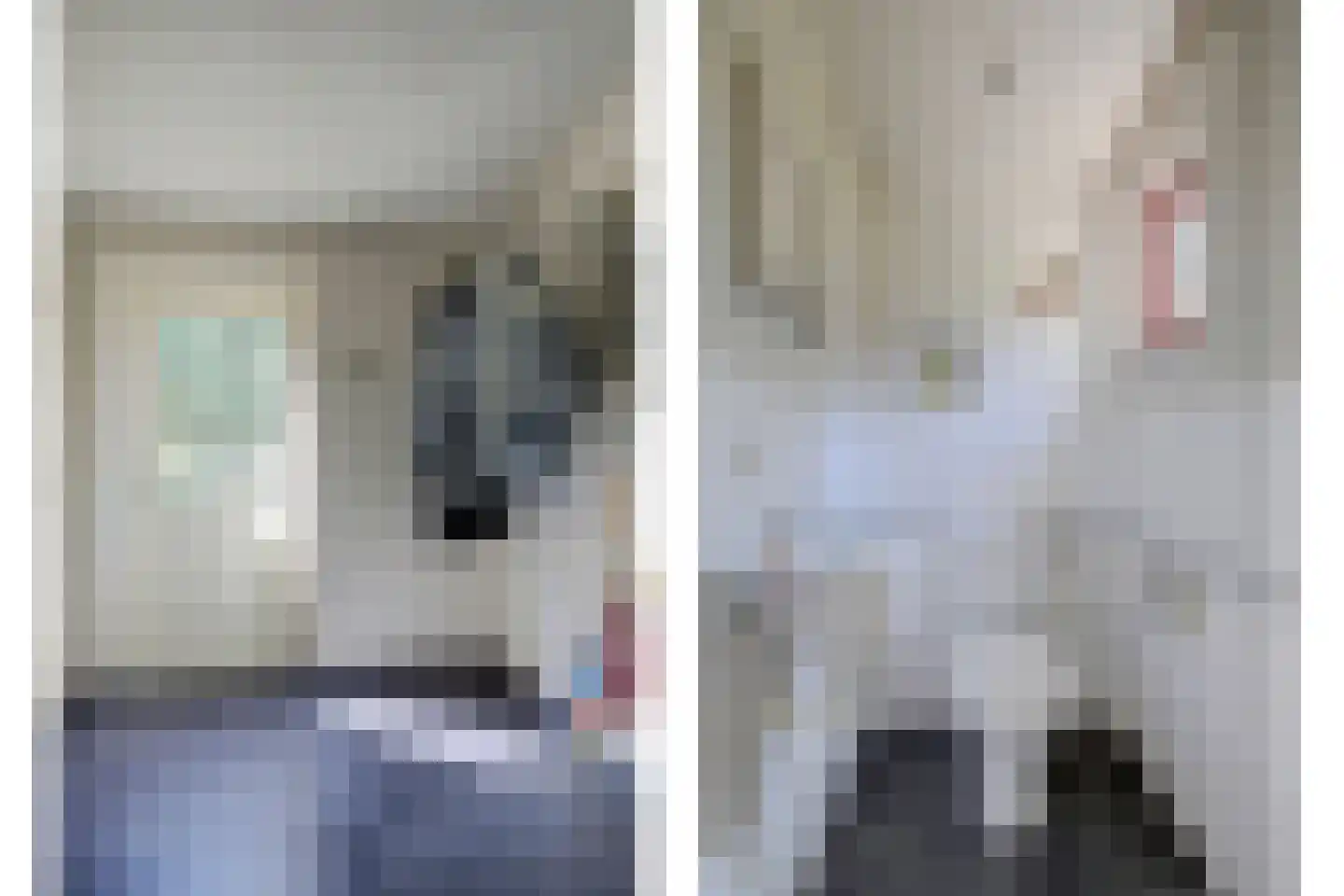 Asbroekweg 2 Maasbree thumbnail 37