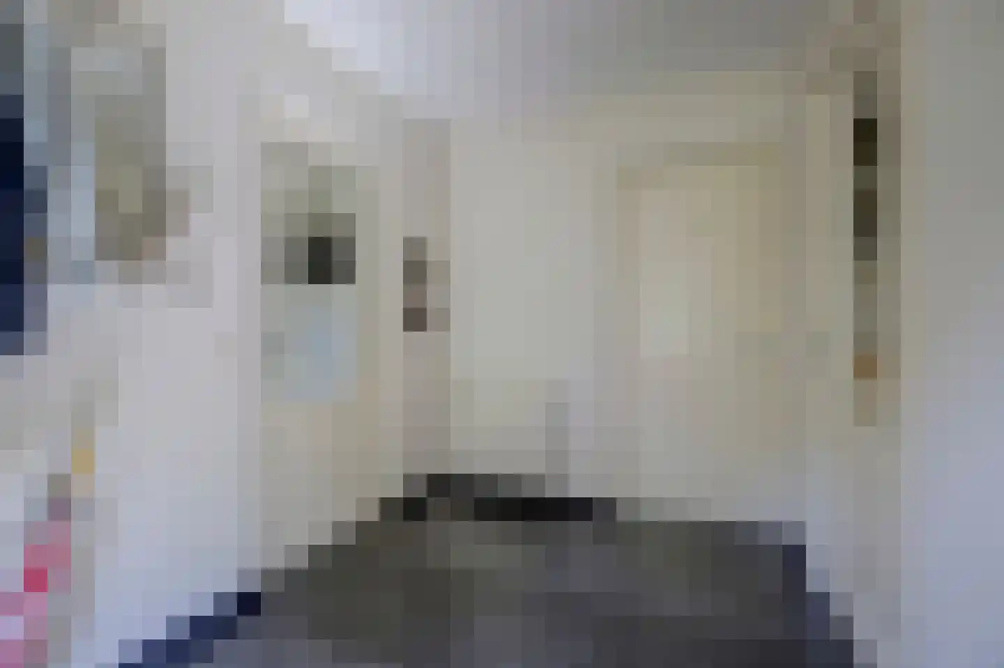 Asbroekweg 2 Maasbree thumbnail 38