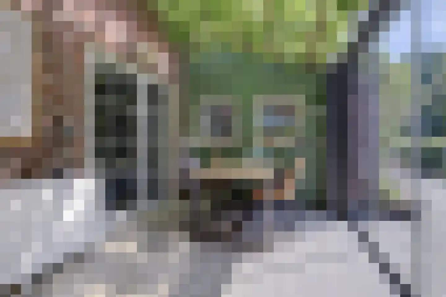 Asbroekweg 2 Maasbree thumbnail 39