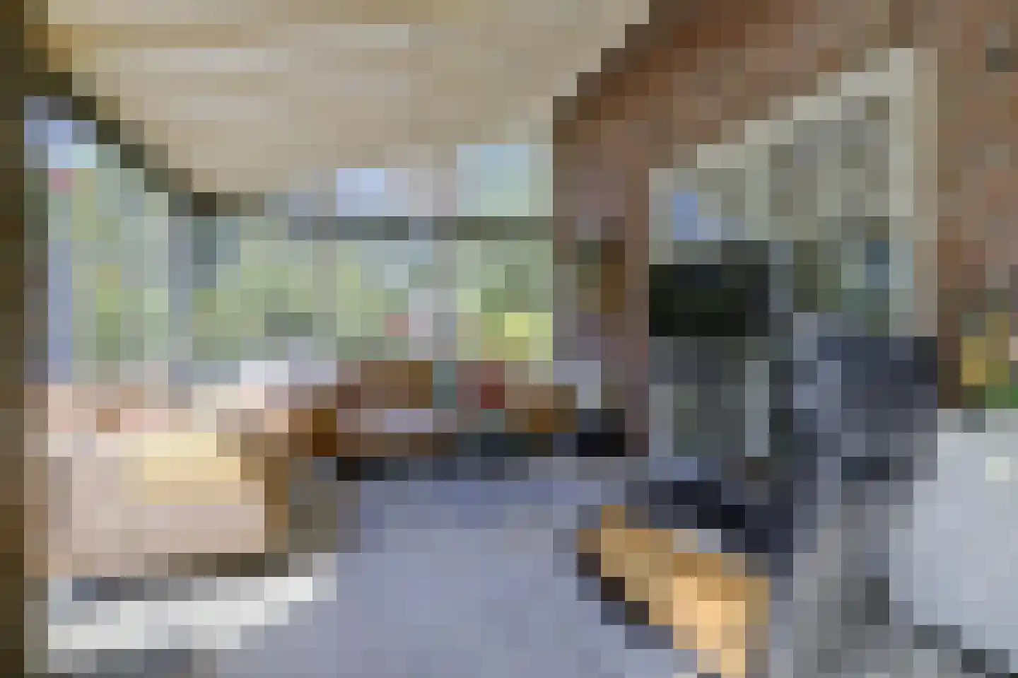 Asbroekweg 2 Maasbree thumbnail 41