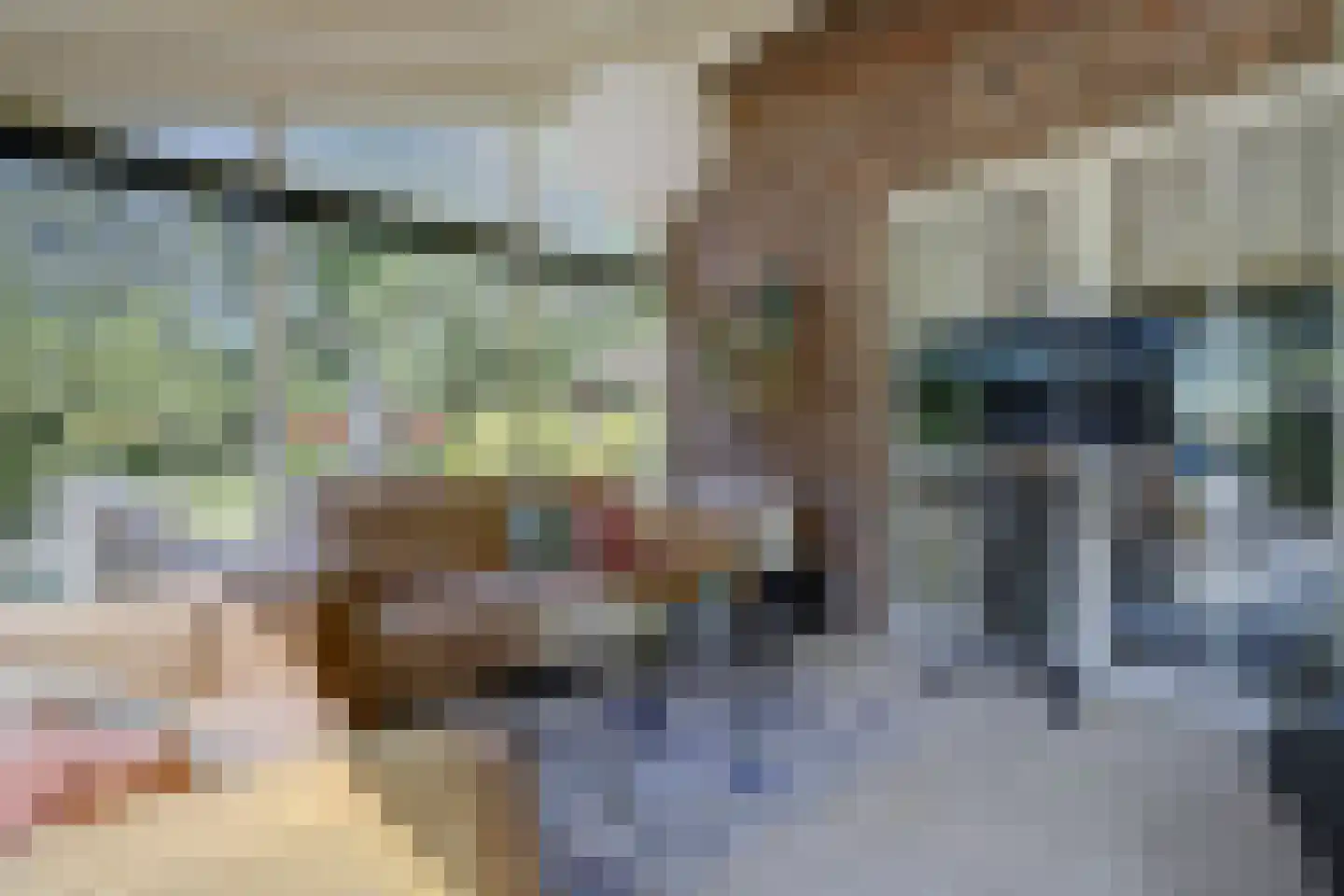 Asbroekweg 2 Maasbree thumbnail 42