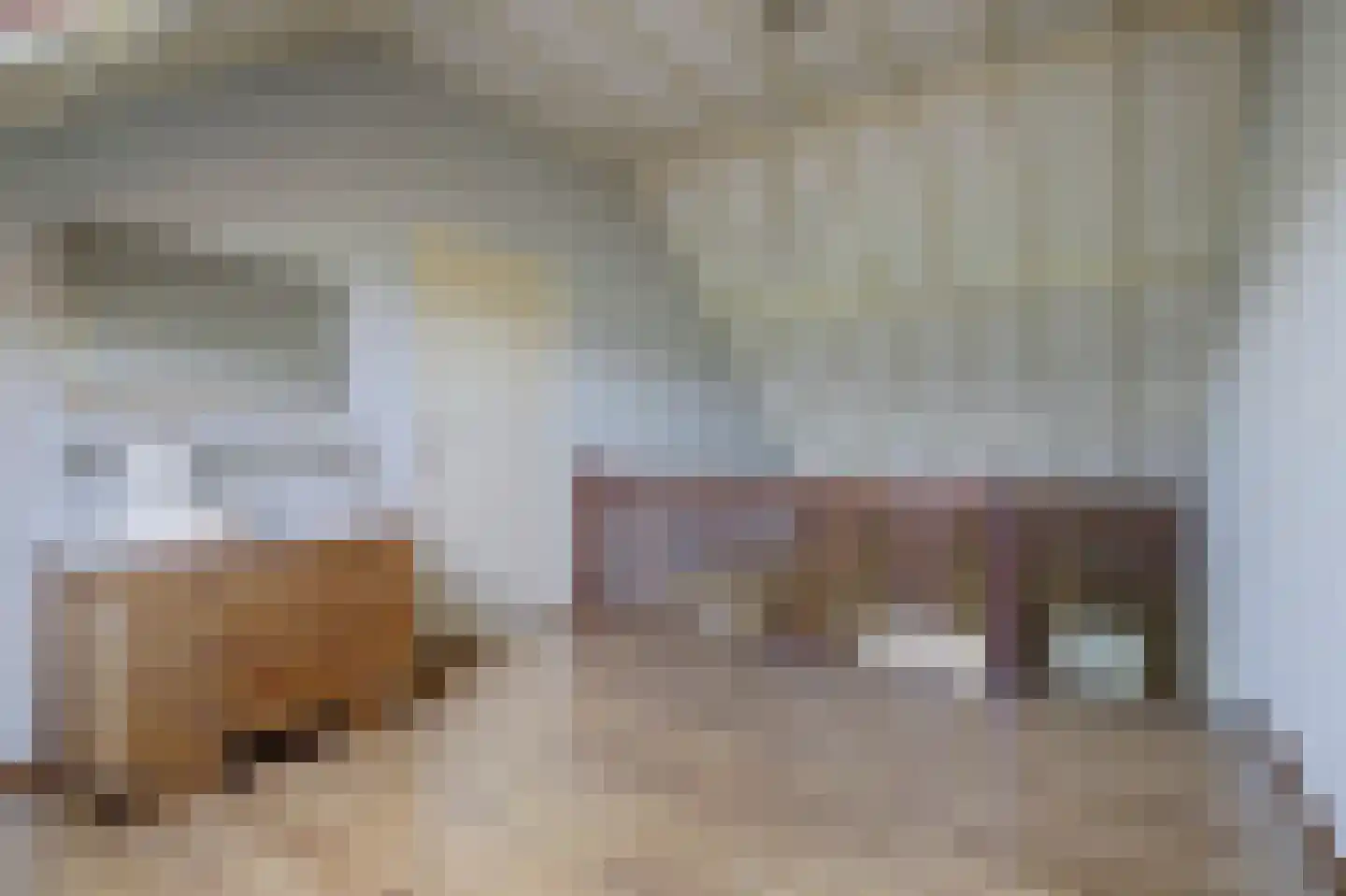 Asbroekweg 2 Maasbree thumbnail 43