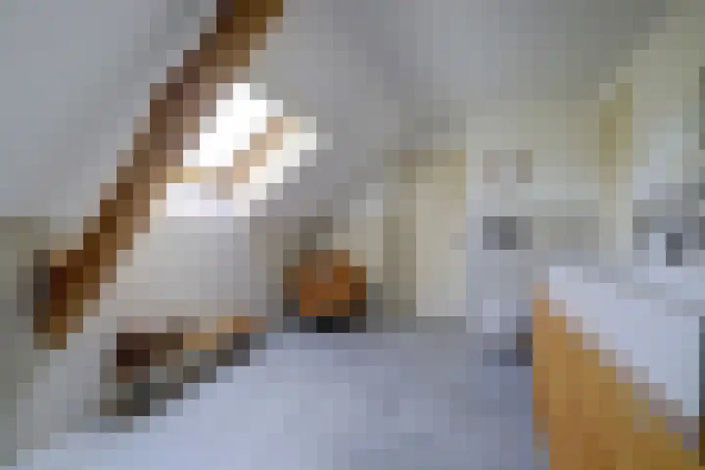 Asbroekweg 2 Maasbree thumbnail 50