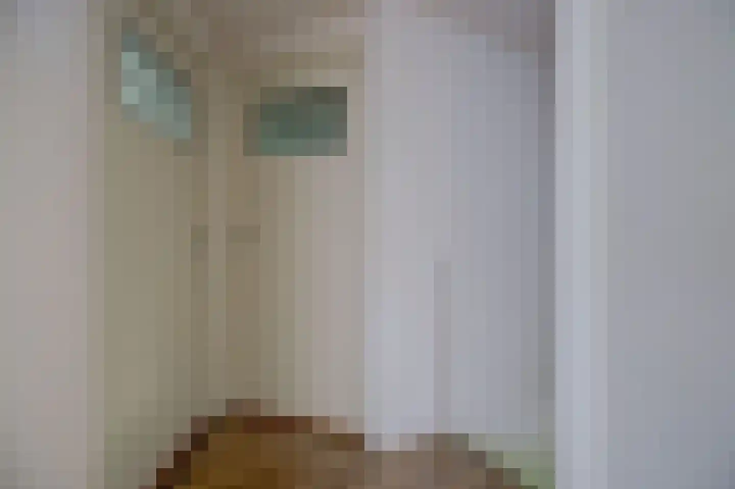 Asbroekweg 2 Maasbree thumbnail 54