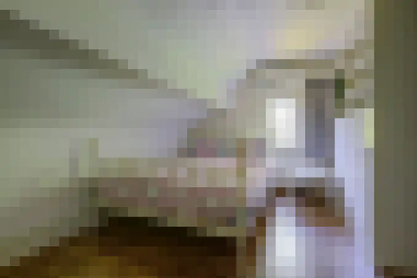 Asbroekweg 2 Maasbree thumbnail 55