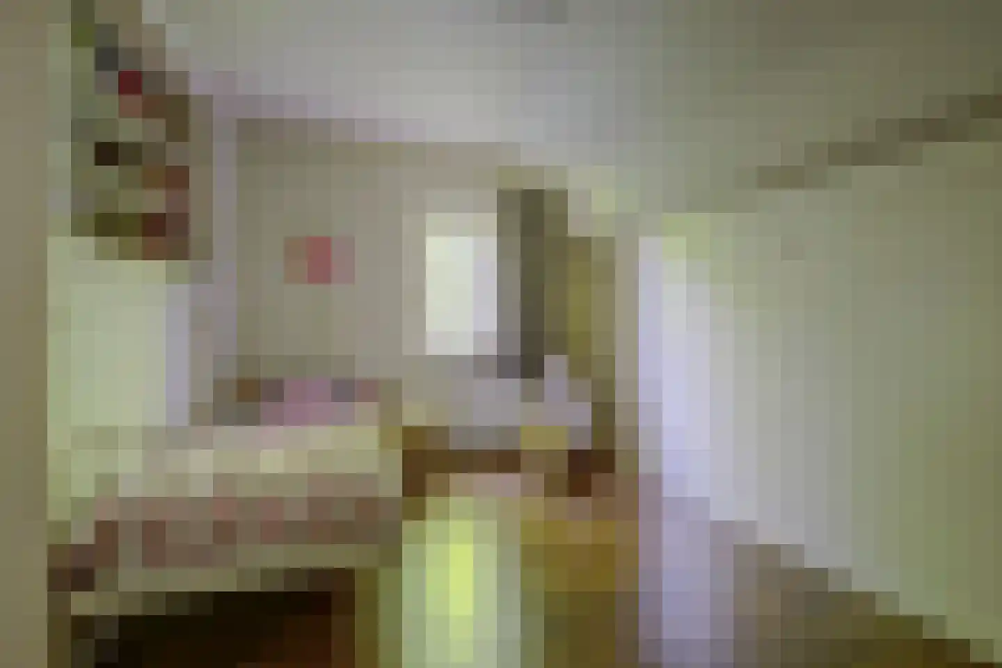 Asbroekweg 2 Maasbree thumbnail 57