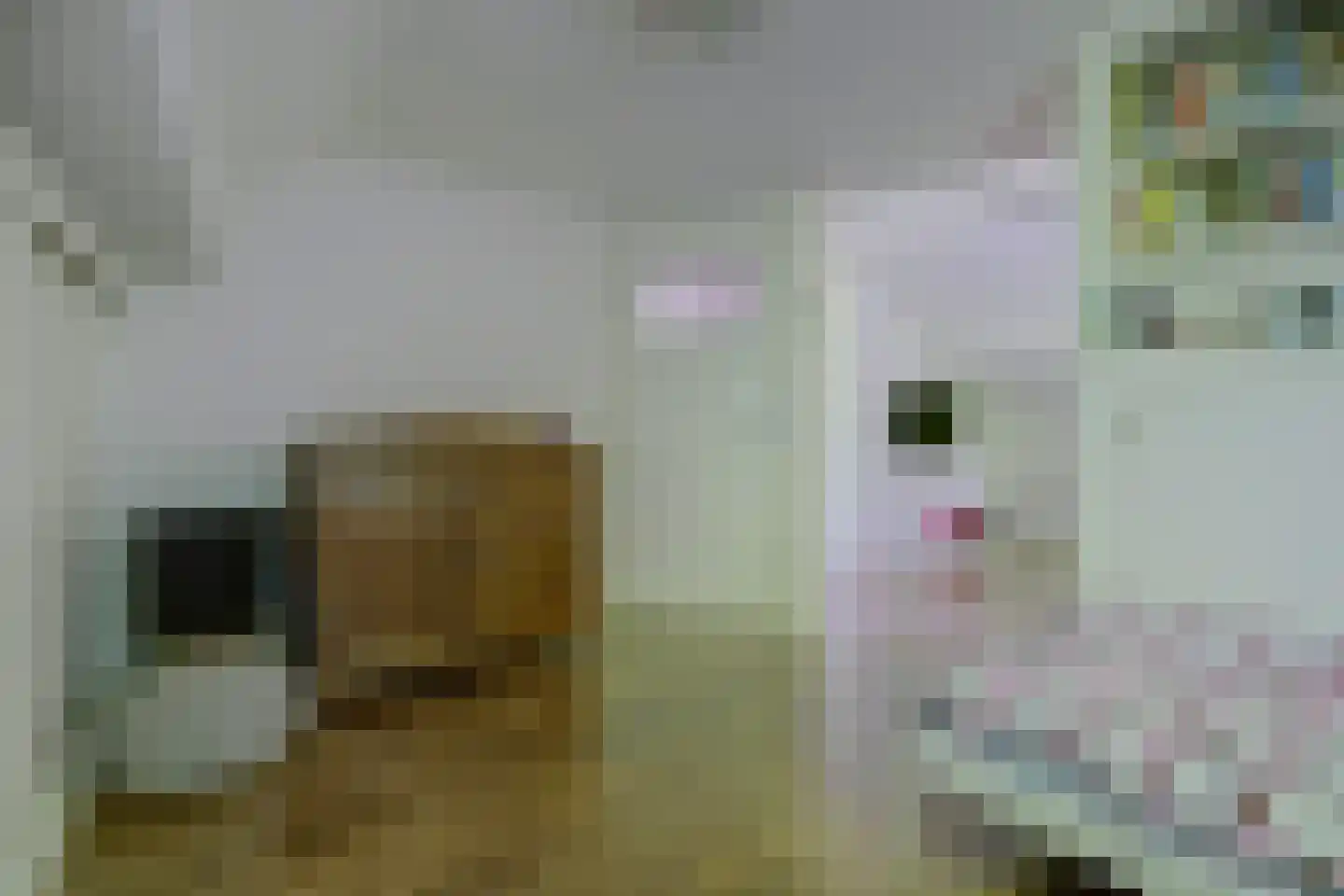Asbroekweg 2 Maasbree thumbnail 58