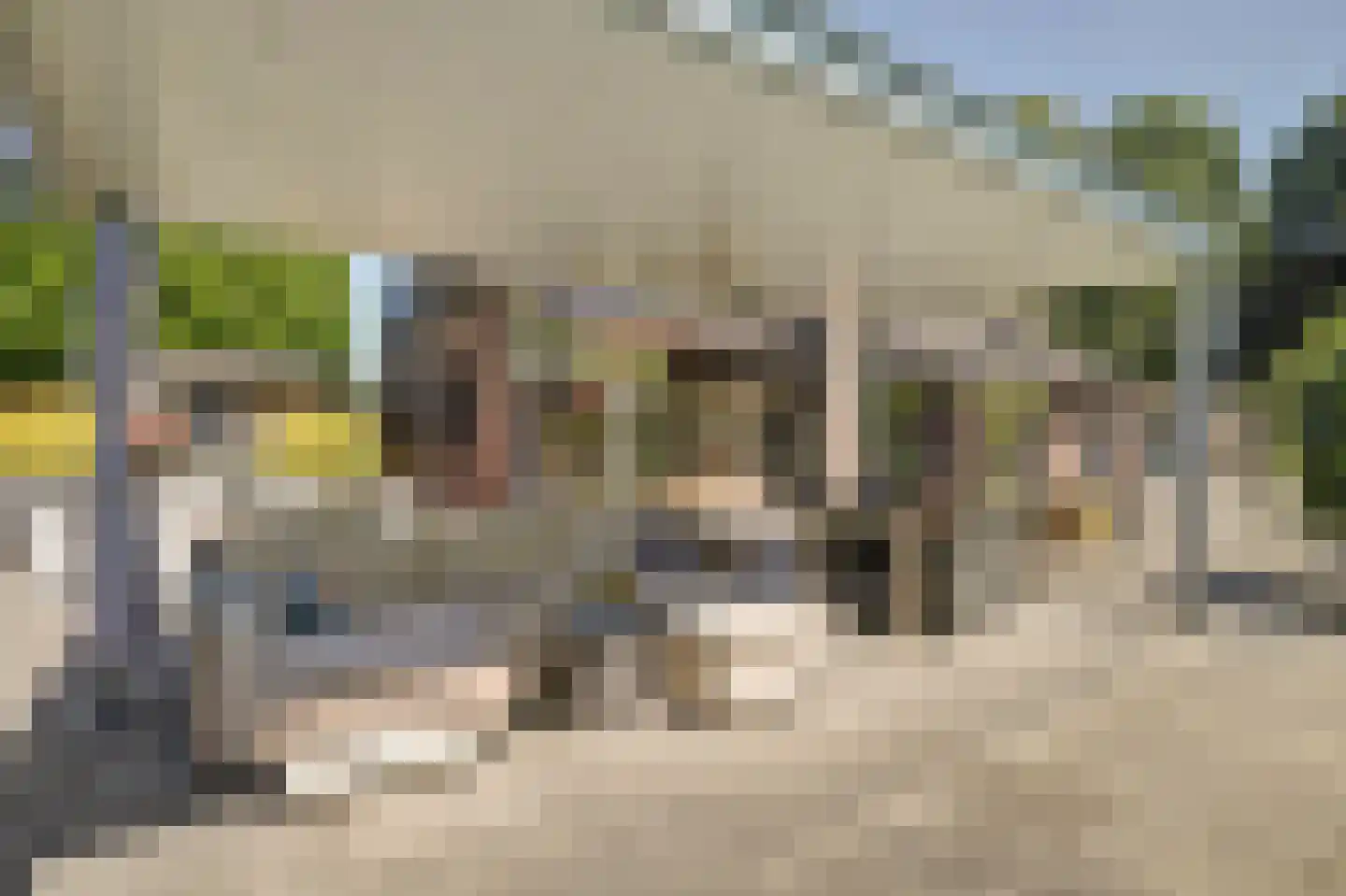 Asbroekweg 2 Maasbree thumbnail 65