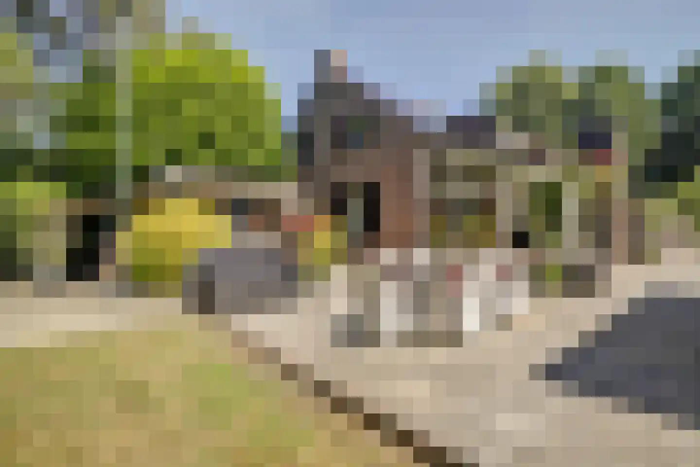 Asbroekweg 2 Maasbree thumbnail 66