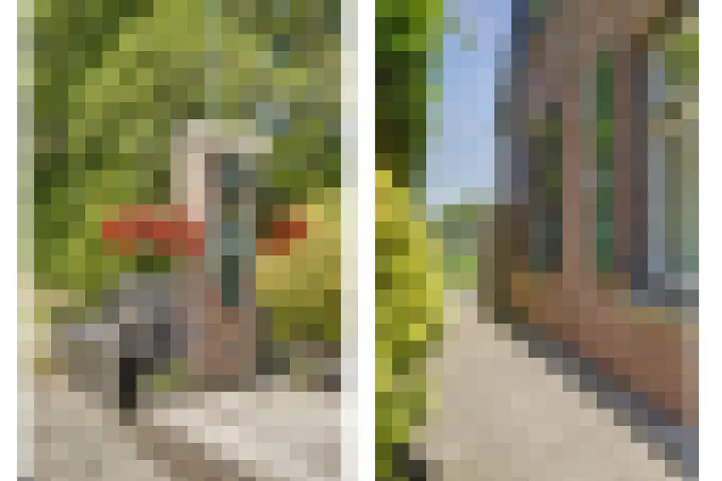 Asbroekweg 2 Maasbree thumbnail 67