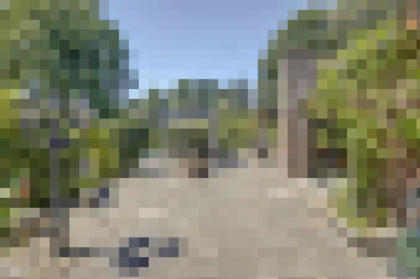 Asbroekweg 2 Maasbree thumbnail 69