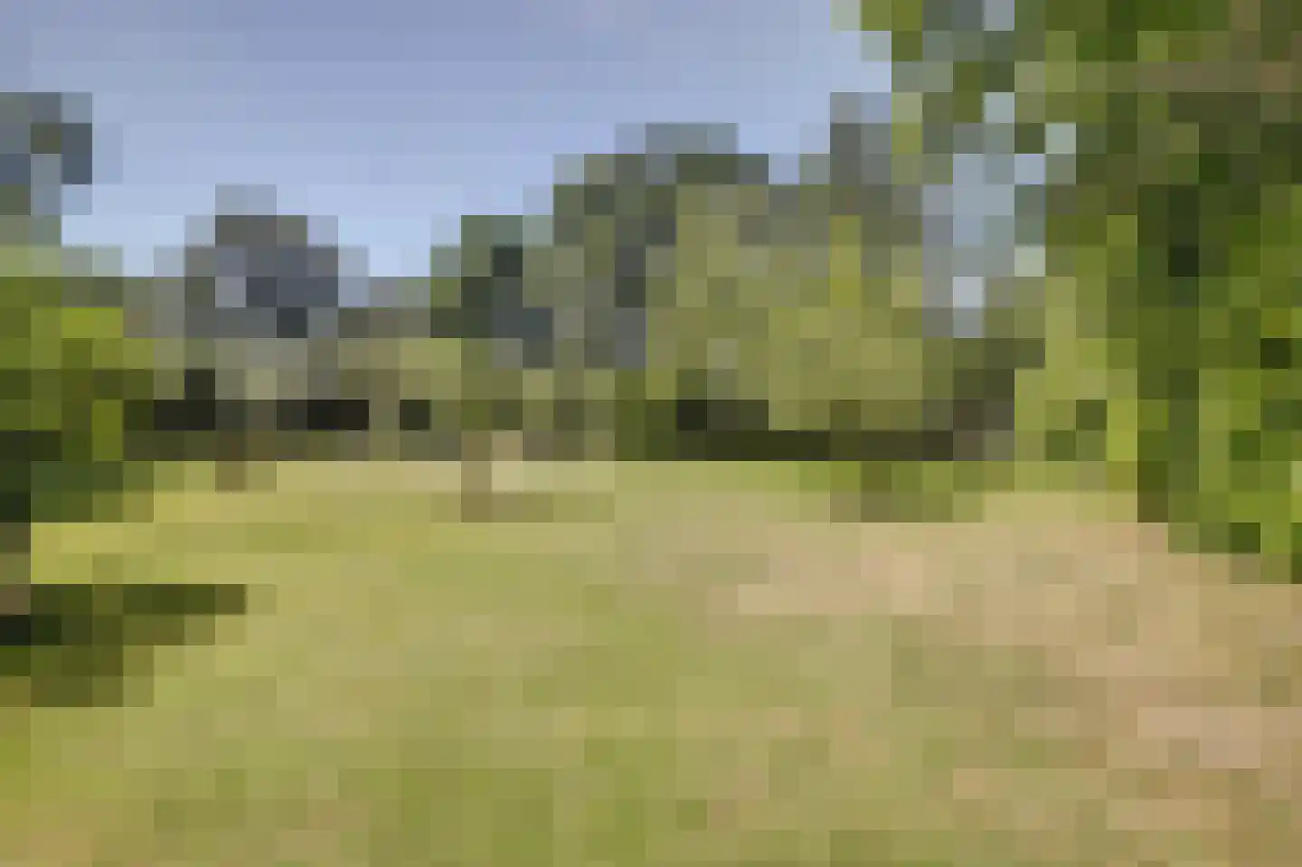 Asbroekweg 2 Maasbree thumbnail 70