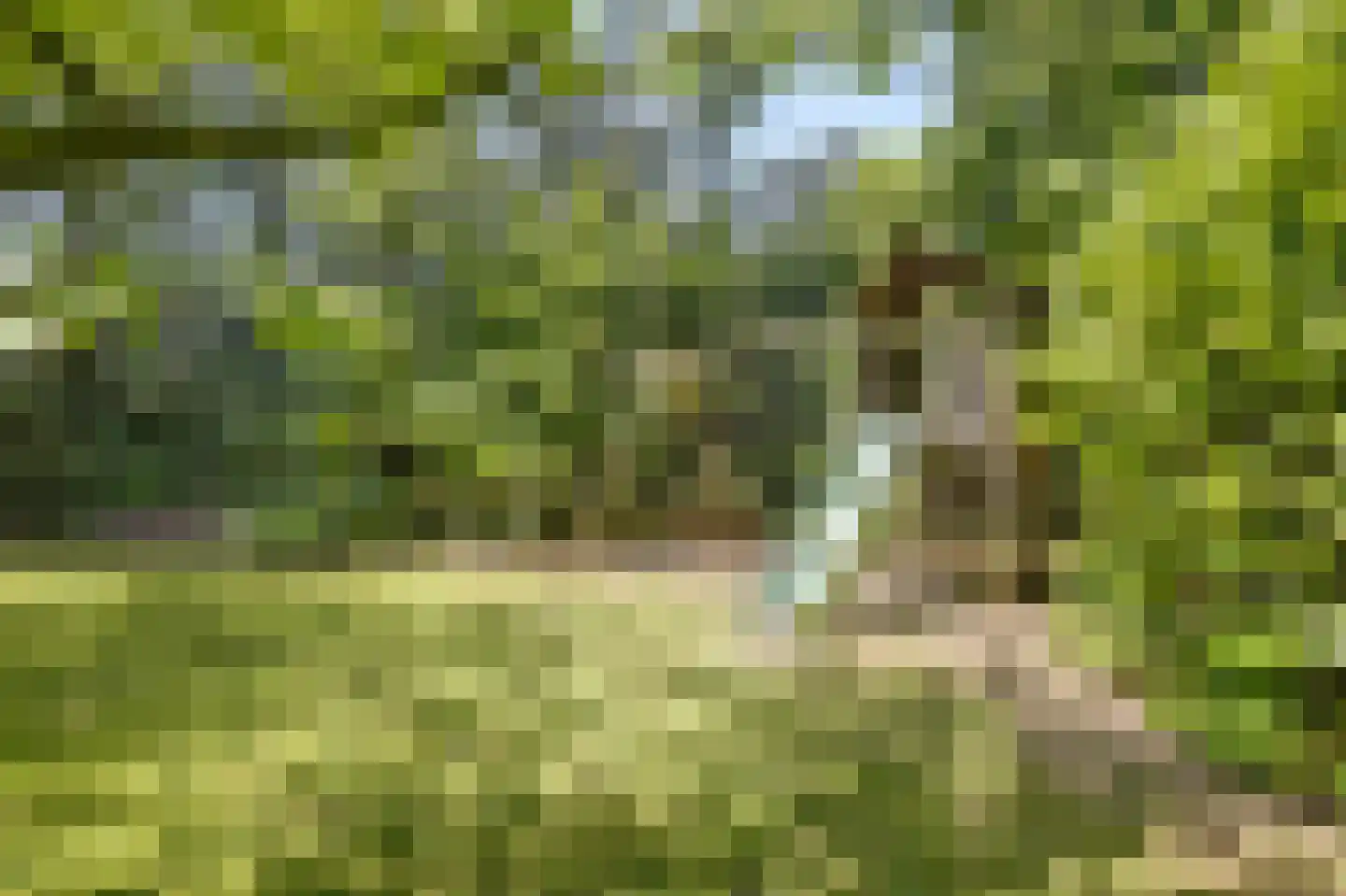 Asbroekweg 2 Maasbree thumbnail 71
