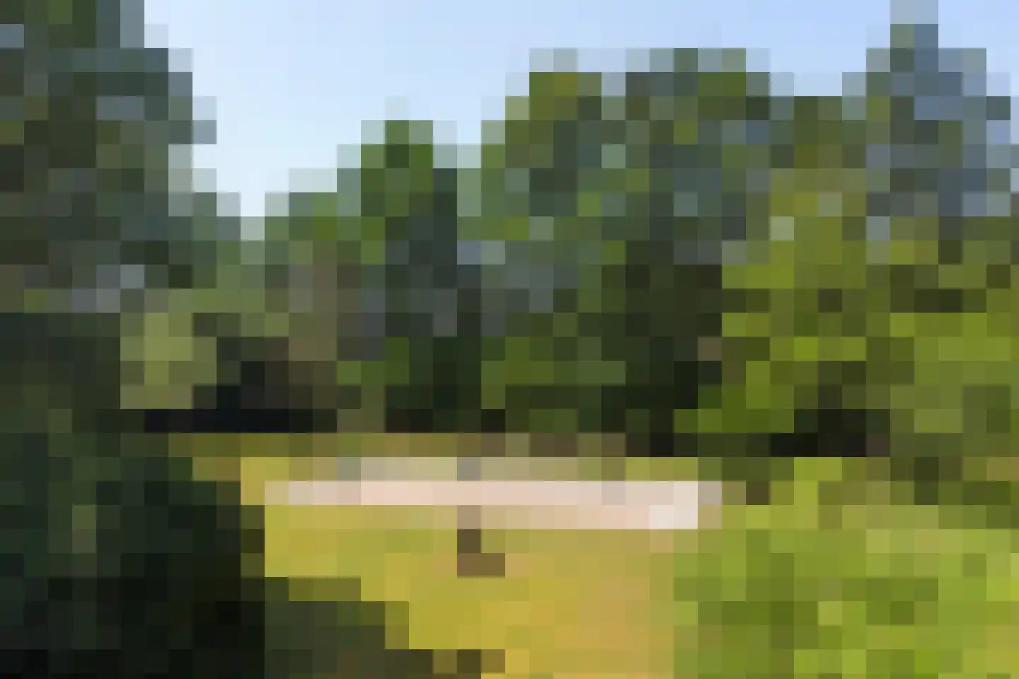 Asbroekweg 2 Maasbree thumbnail 73