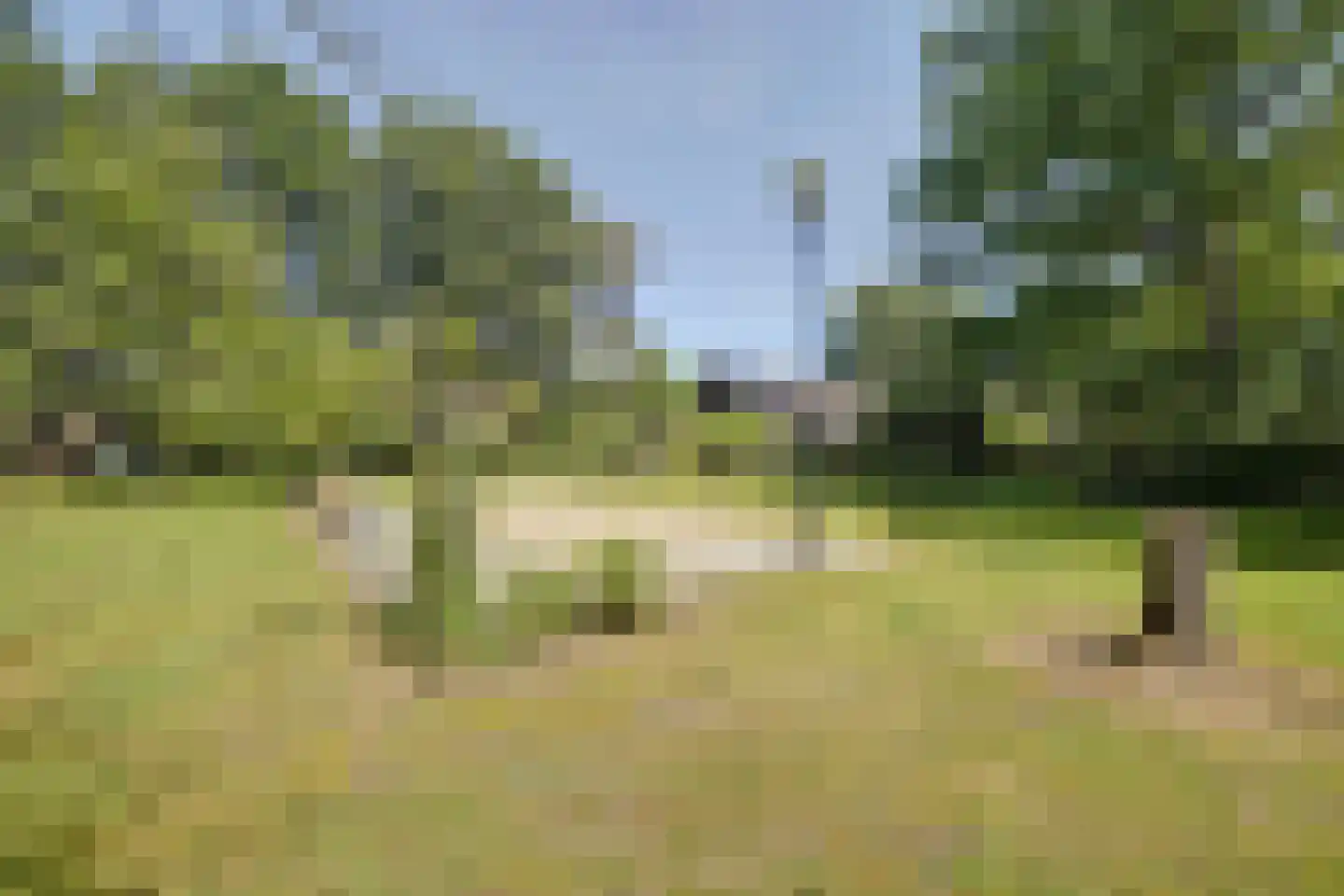 Asbroekweg 2 Maasbree thumbnail 74