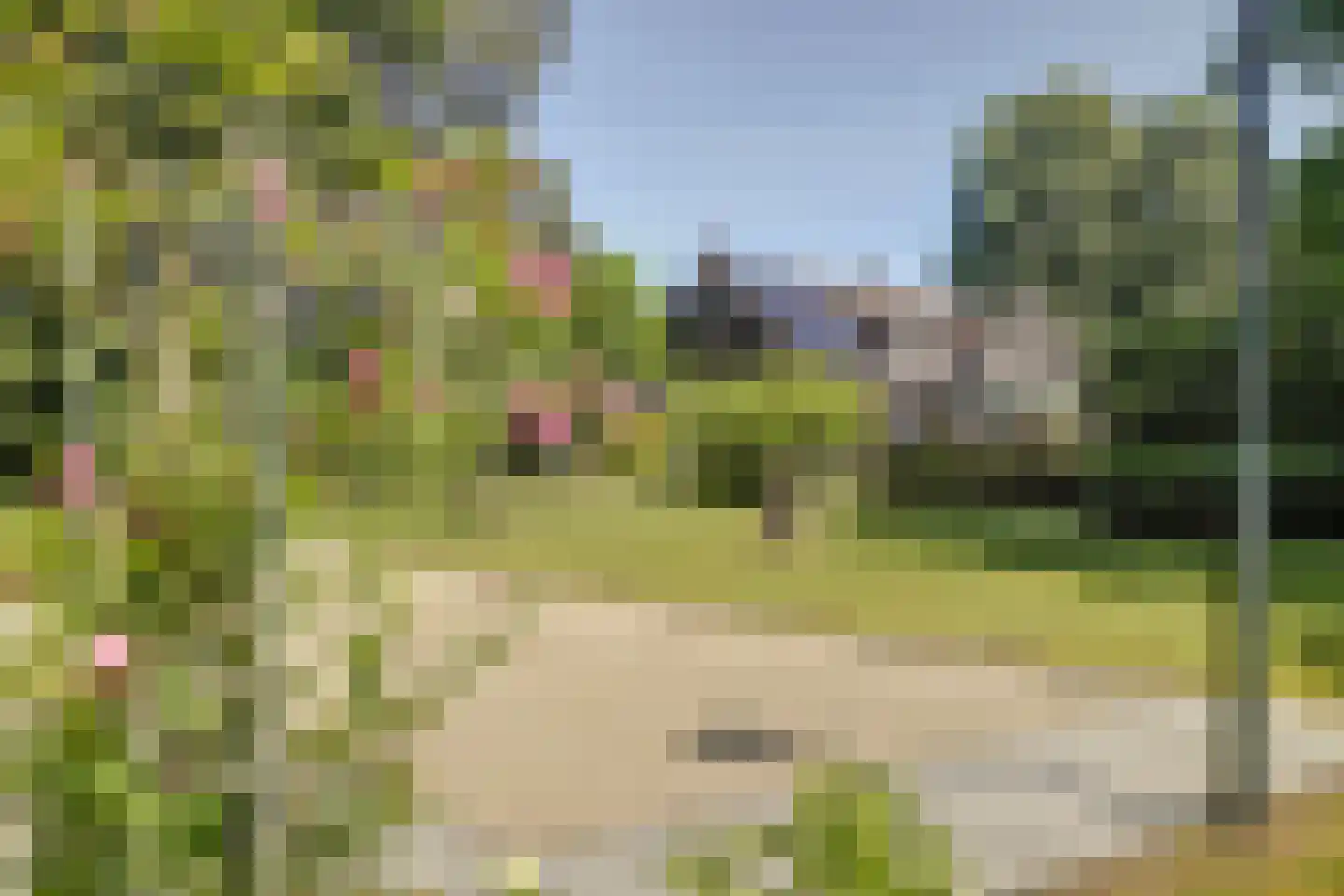 Asbroekweg 2 Maasbree thumbnail 75