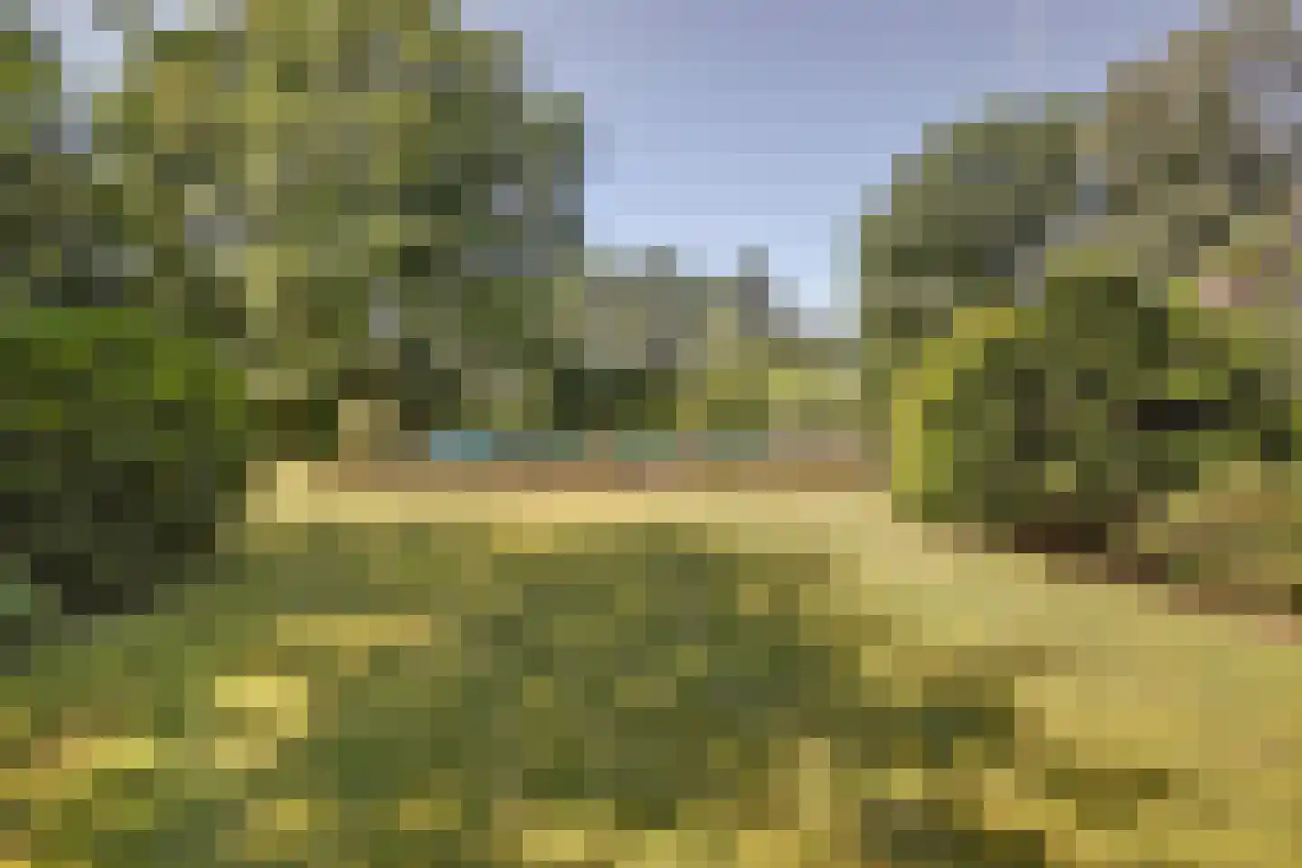 Asbroekweg 2 Maasbree thumbnail 78