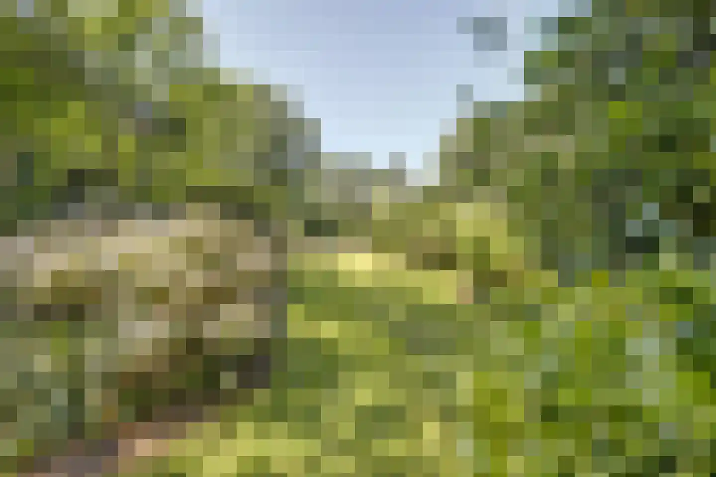 Asbroekweg 2 Maasbree thumbnail 79