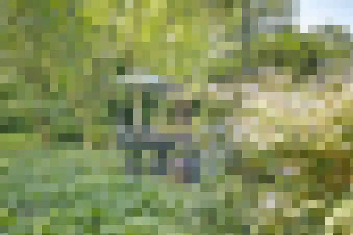 Asbroekweg 2 Maasbree thumbnail 80