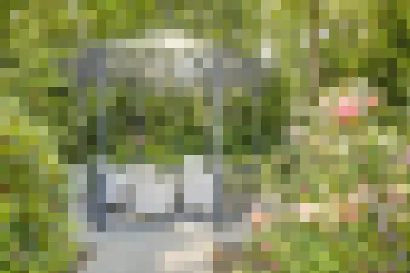 Asbroekweg 2 Maasbree thumbnail 81