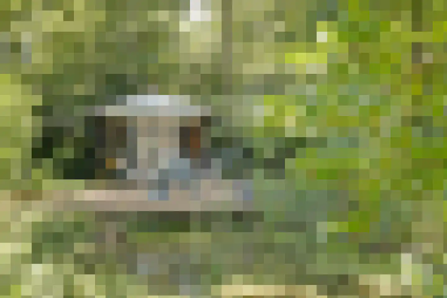 Asbroekweg 2 Maasbree thumbnail 84