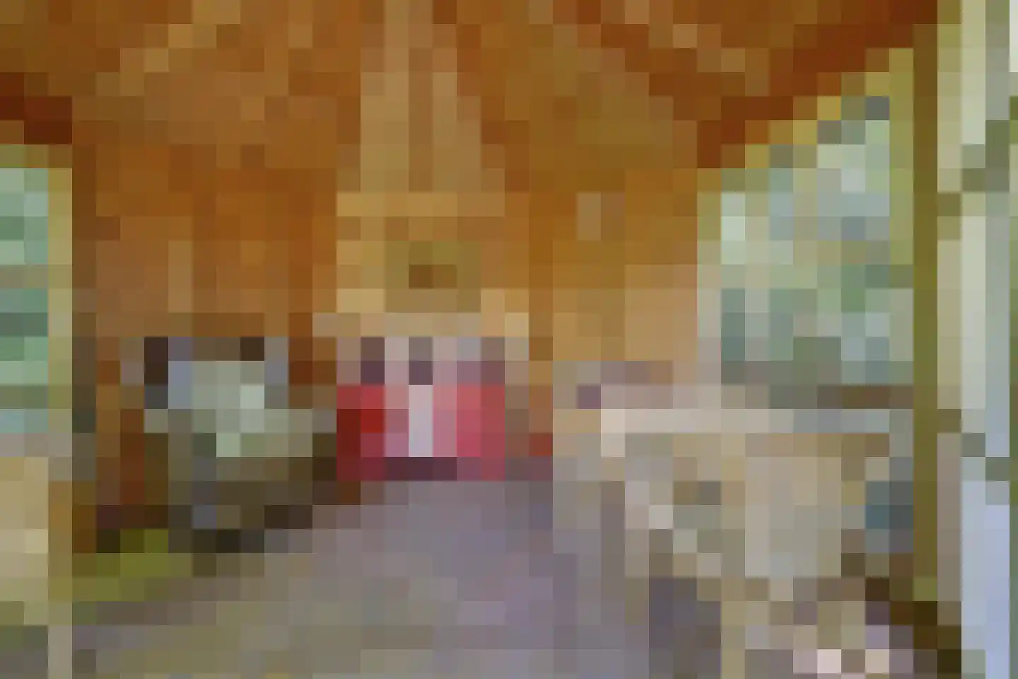 Asbroekweg 2 Maasbree thumbnail 85
