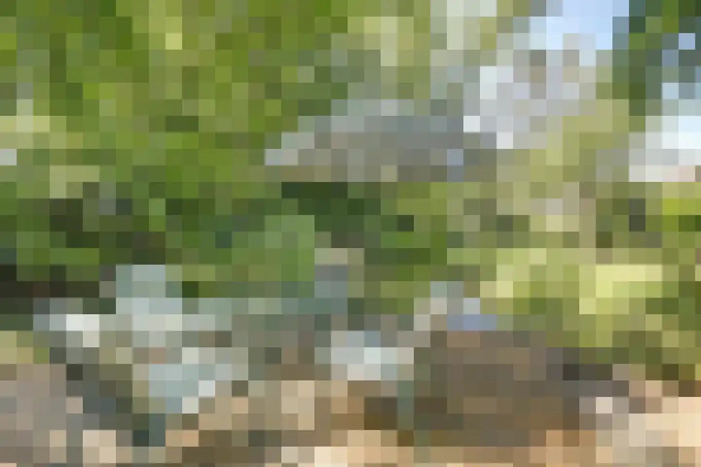 Asbroekweg 2 Maasbree thumbnail 86