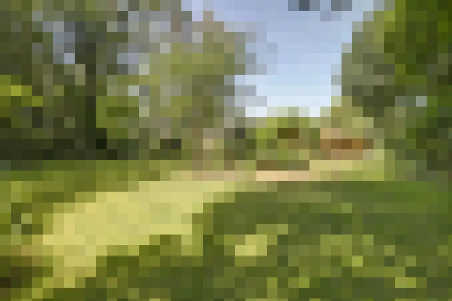 Asbroekweg 2 Maasbree thumbnail 87