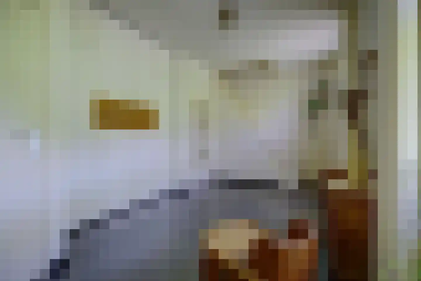 Asbroekweg 2 Maasbree thumbnail 9