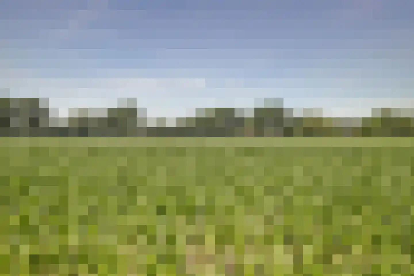 Asbroekweg 2 Maasbree thumbnail 96