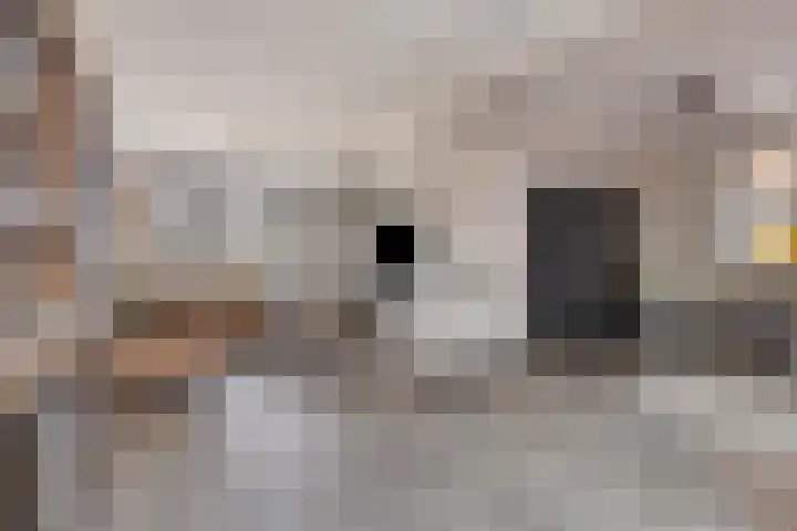 Ascetenstraat 19 Sint Anthonis thumbnail 8