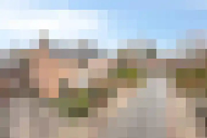Ascetenstraat 4 Sint Anthonis thumbnail 6