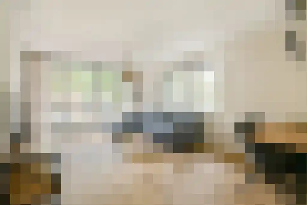 Asingaborg 3 Amsterdam thumbnail 4