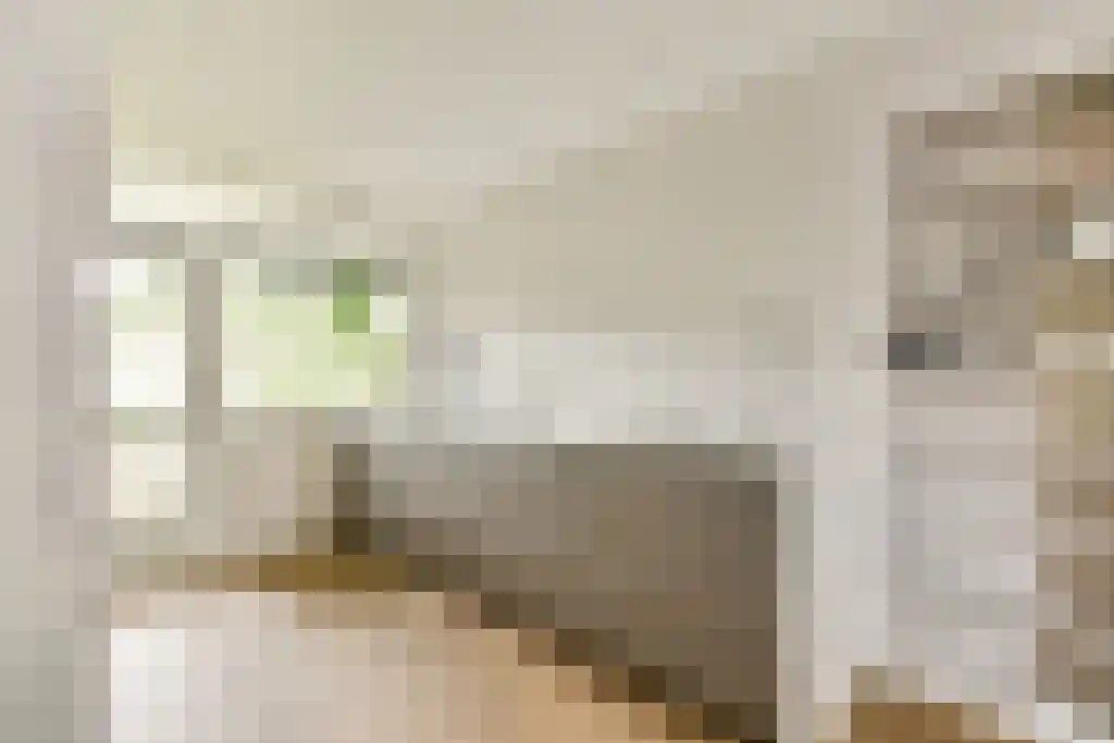 Asingaborg 3 Amsterdam thumbnail 6