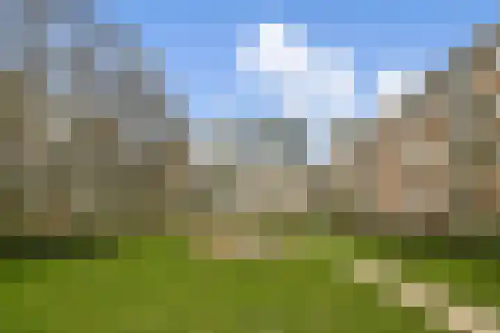 Asingaborg 74 Amsterdam thumbnail 5