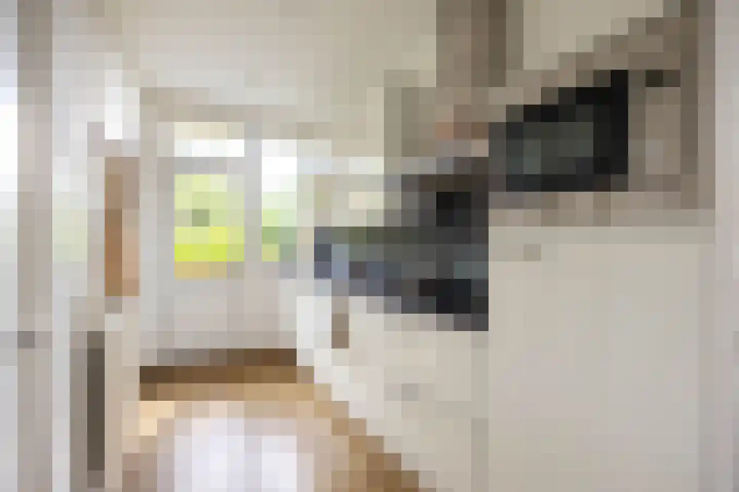 Asingastraat 6 Groningen thumbnail 25