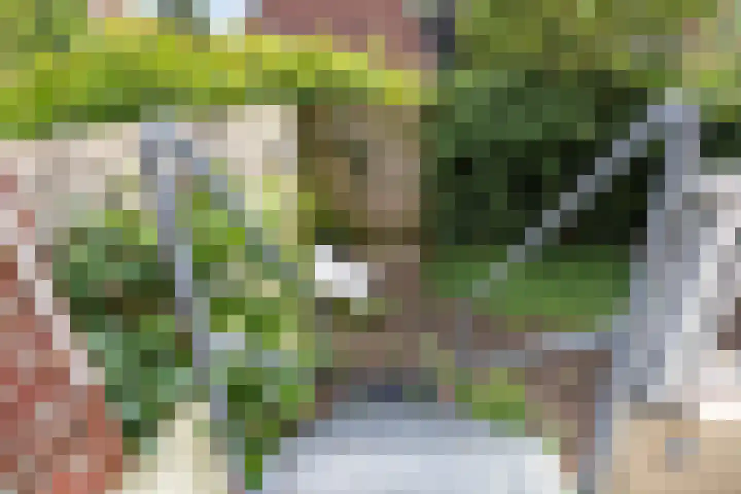 Asingastraat 6 Groningen thumbnail 36