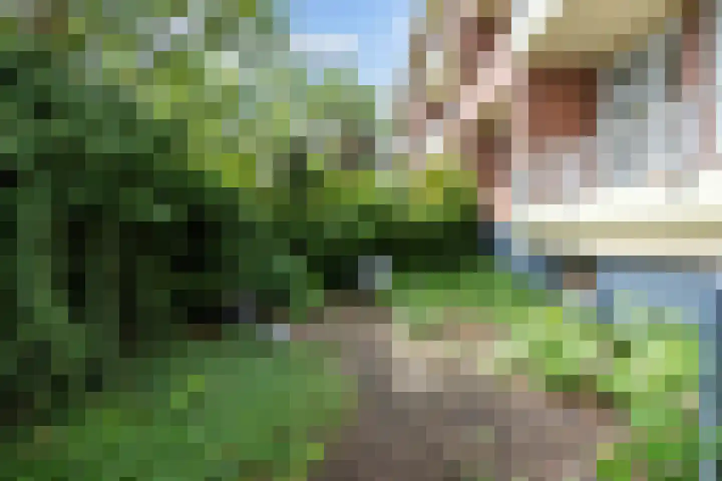 Asingastraat 6 Groningen thumbnail 4