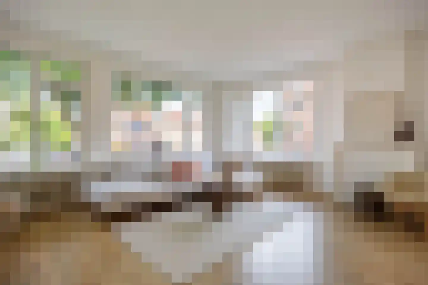 Asingastraat 6 Groningen thumbnail 8