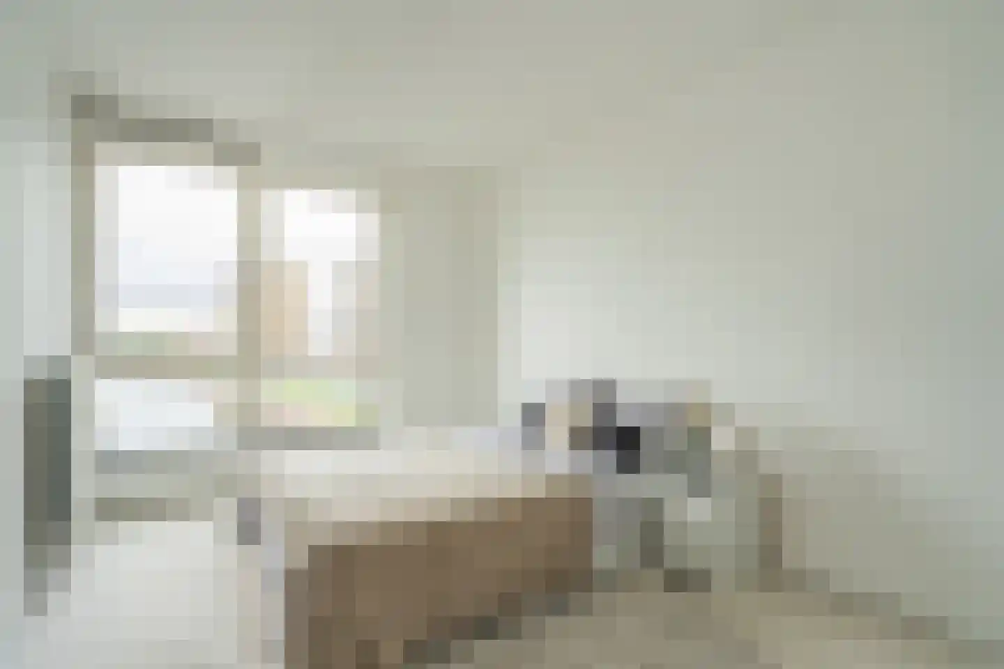 Asmansweg 28 Den Haag thumbnail 18