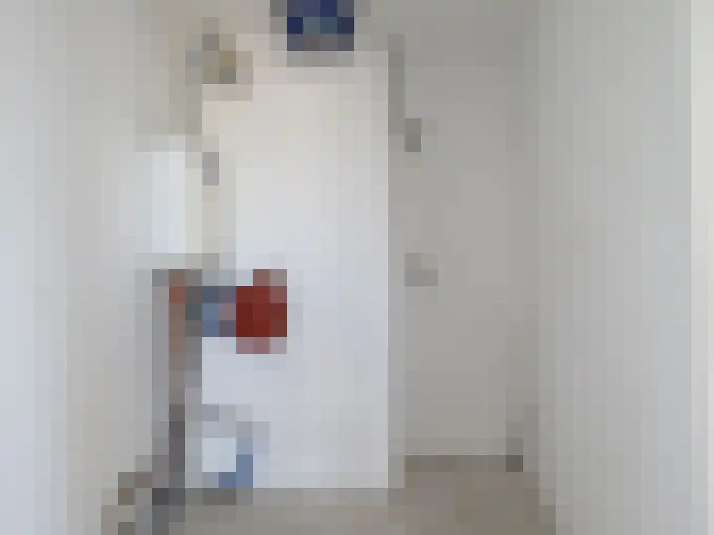Asmansweg 28 Den Haag thumbnail 22