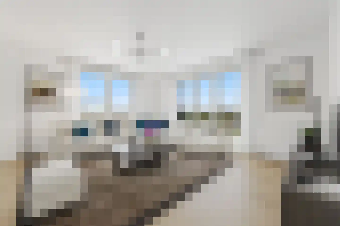 Asmansweg 28 Den Haag thumbnail 4