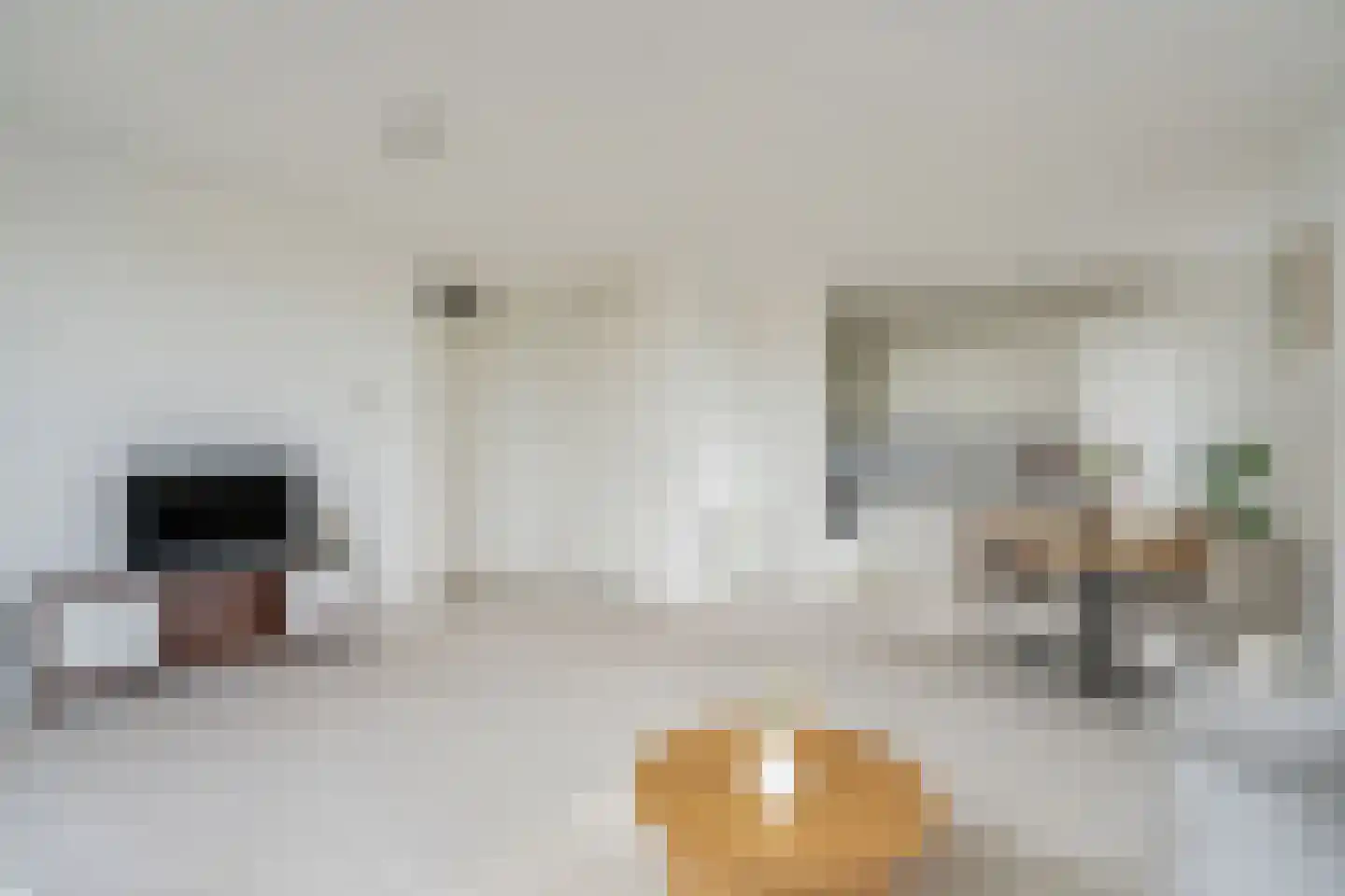 Asmansweg 28 Den Haag thumbnail 4