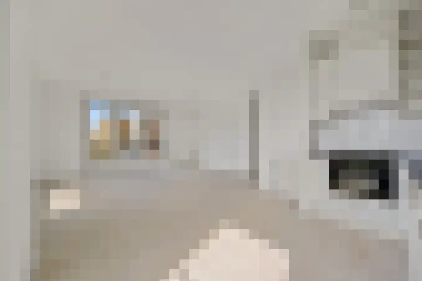 Asmansweg 28 Den Haag thumbnail 5