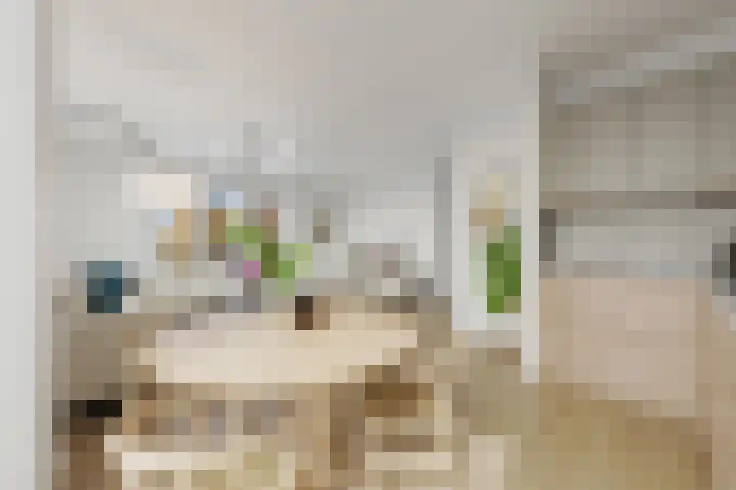 Asmansweg 28 Den Haag thumbnail 6