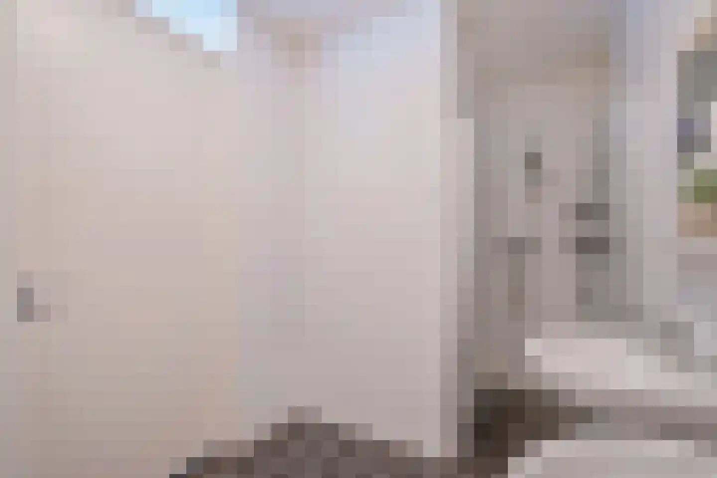 Asmansweg 84 A Den Haag thumbnail 20