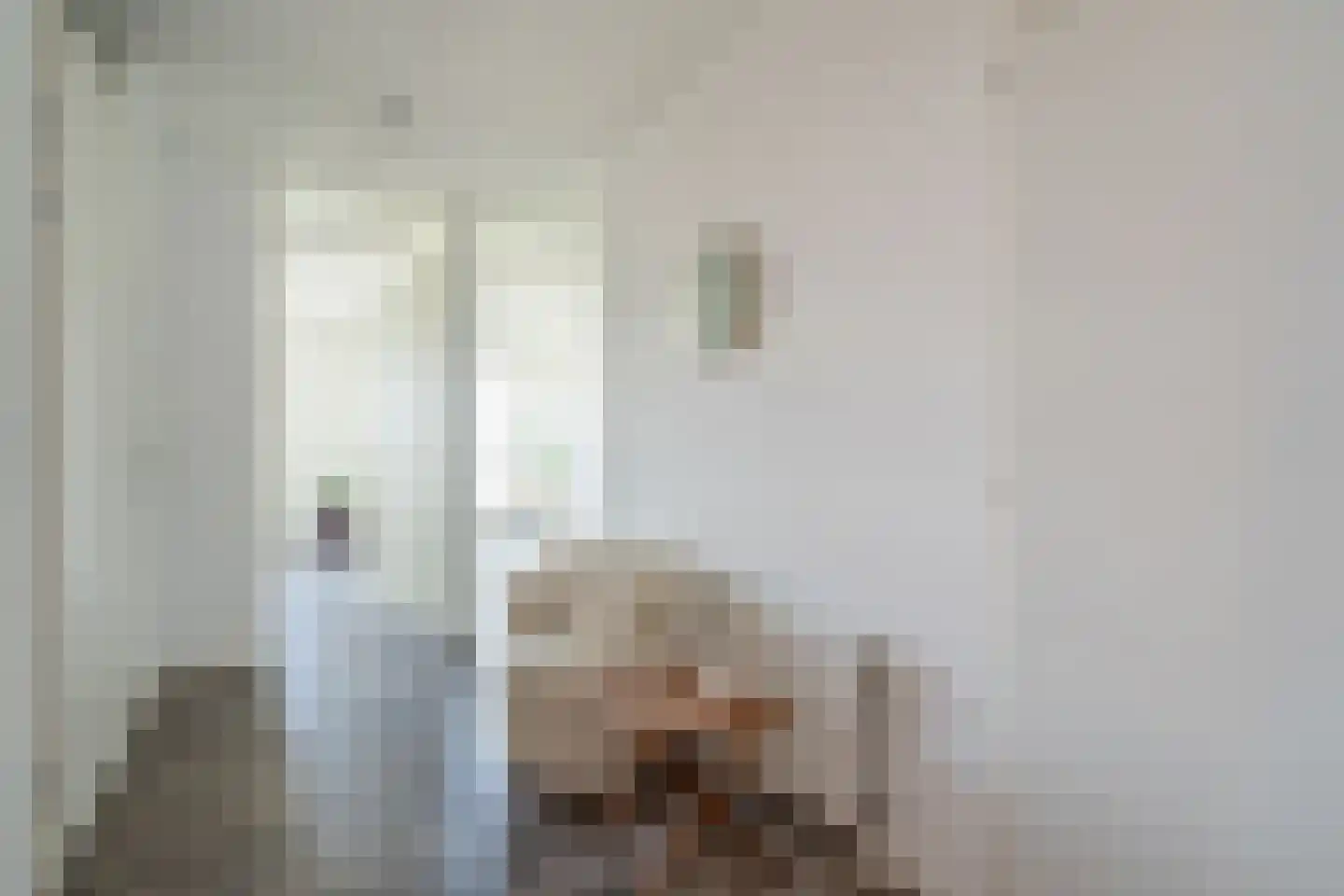 Asmansweg 84 A Den Haag thumbnail 23