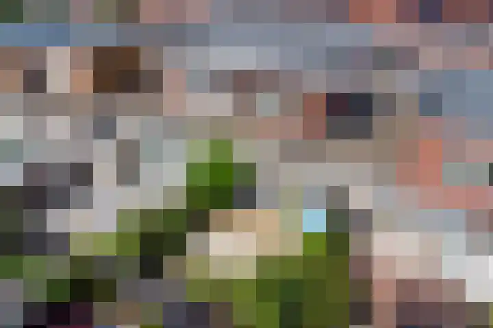 Asperenstraat 34 Zoetermeer thumbnail 16