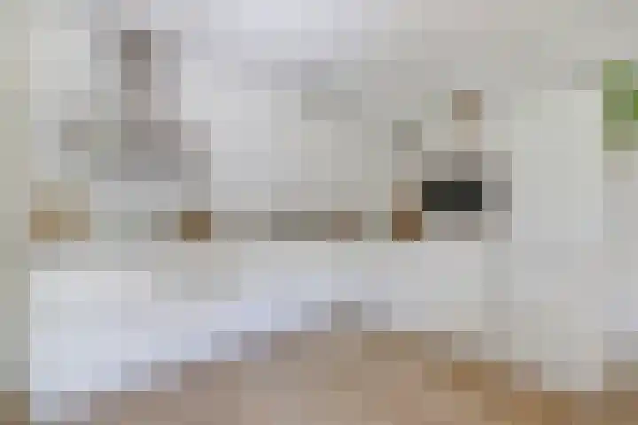 Asperenstraat 34 Zoetermeer thumbnail 6