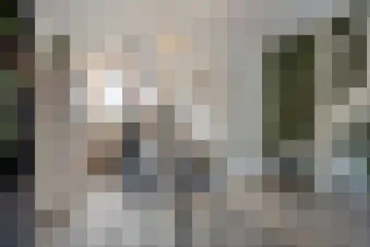 Asperge 20 Helden thumbnail 11